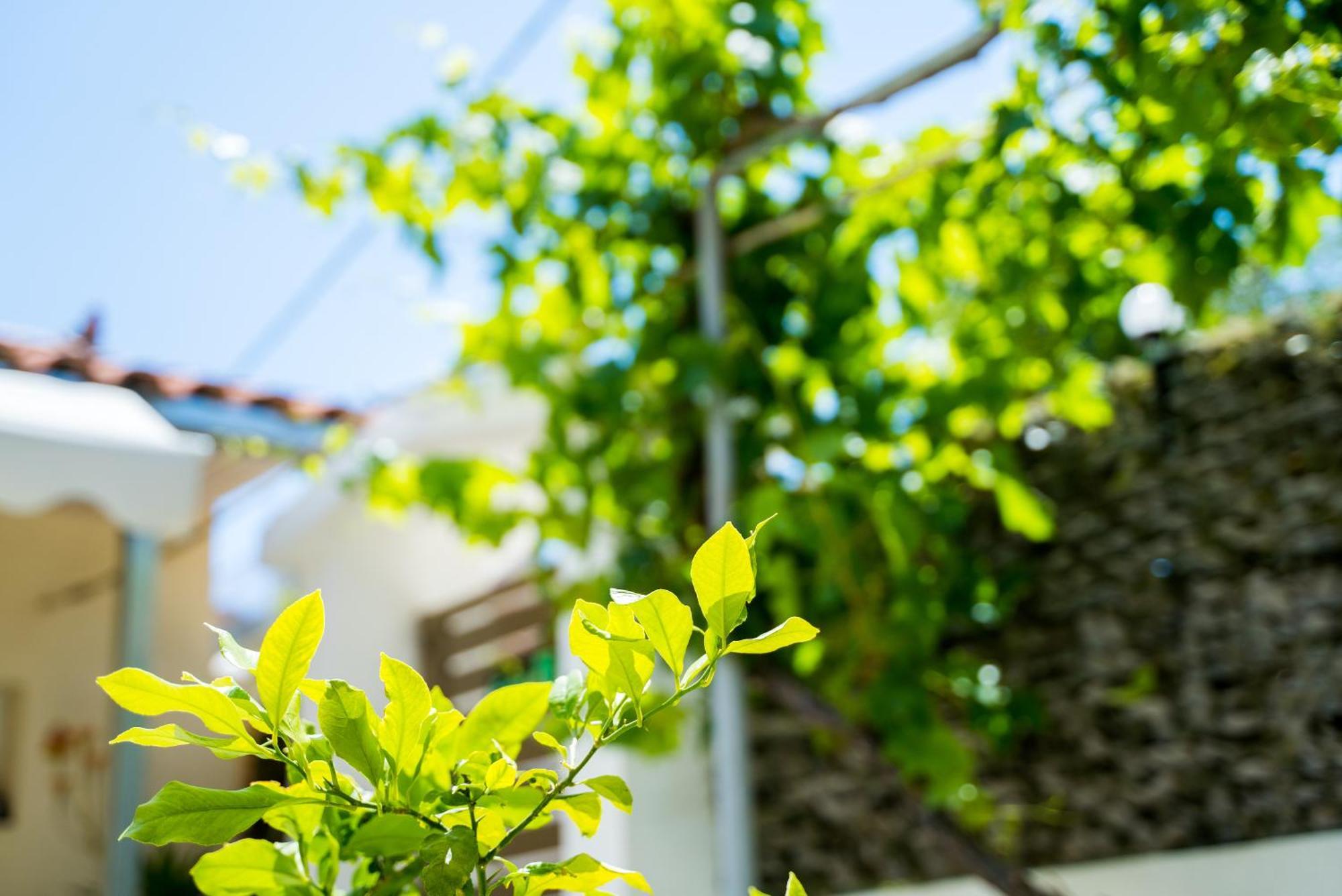Apartamento The Dreamhouse Athens Airport Artemida  Exterior foto